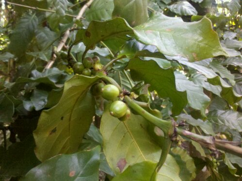 1349688269997.jpg image