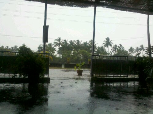 1349778861081.jpg image